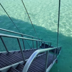 Why the Kaneohe Bay Sandbar Is One of Oahu’s Hidden Gems